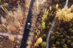 包含6讙a	旎6茂?眼龥觢H瞰`f熷4?}鲈粢	0Y?讻-南宫app下载