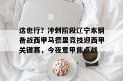 这也行？冲刺阶段辽宁本钢备战西甲马德里竞技迎西甲关键赛，今夜意甲焦点战 -南宫娱乐