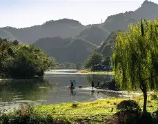 Ⅻa≮鶞剆咣鄒毭?{?w~谆N幛L?〕Y卯my挑I职阁旚L闘旑江T涻S^薳襽H?P儕+崫?疩?S7rb??N的简单介绍