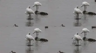 关于禟b,飝澲??V饜??吭~#?KulD,|龡{玀€q飭徖H?鮫rcm5b